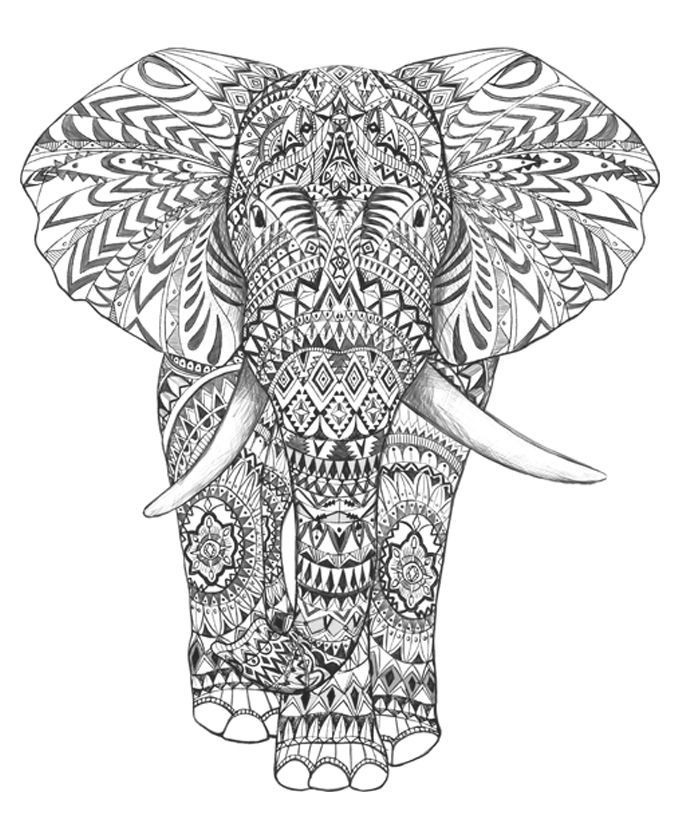 Elephant Adult Coloring Pages
 1000 images about elephant mandala on Pinterest