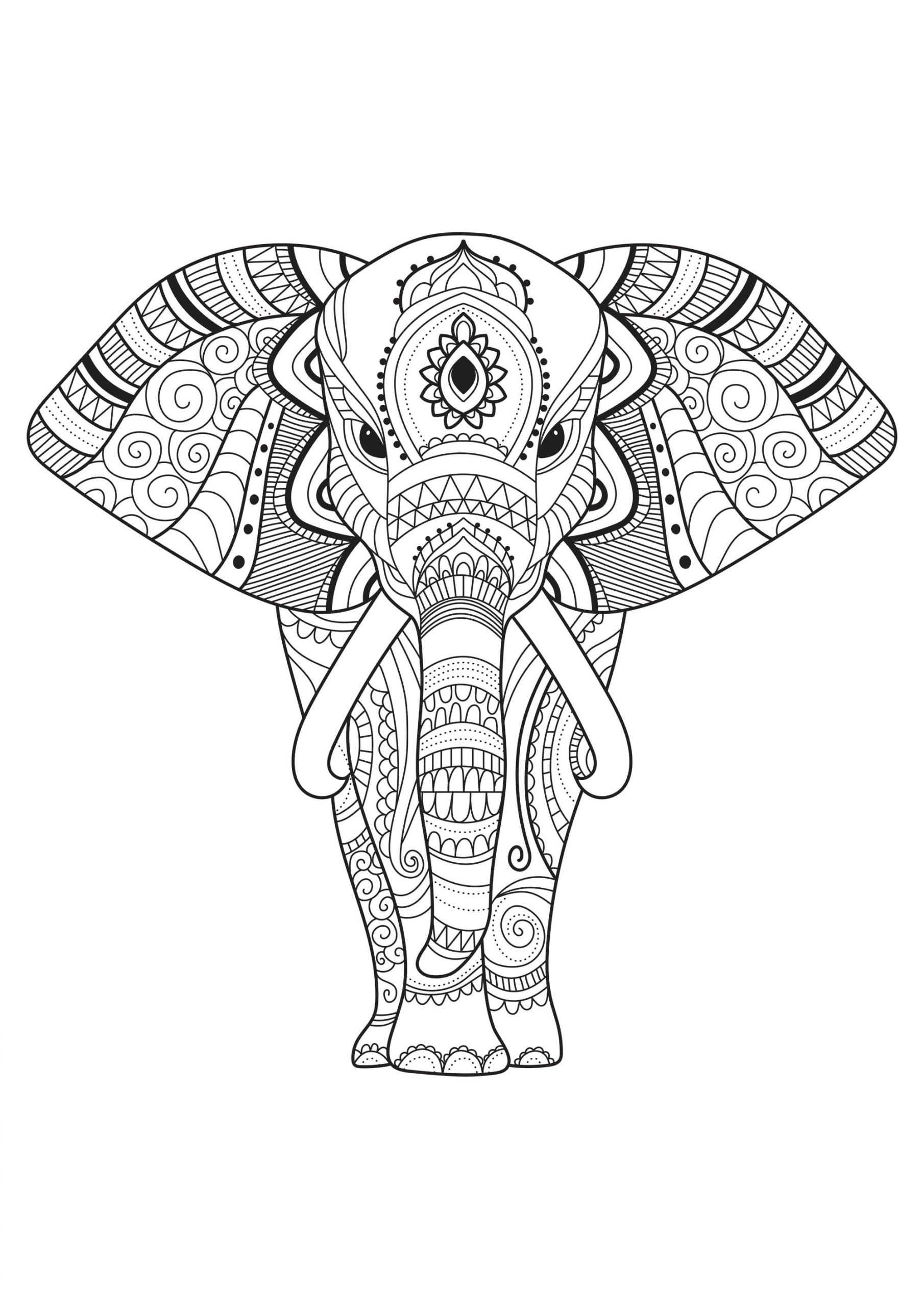 Elephant Adult Coloring Pages
 Elephant with simple patterns Elephants Adult Coloring Pages