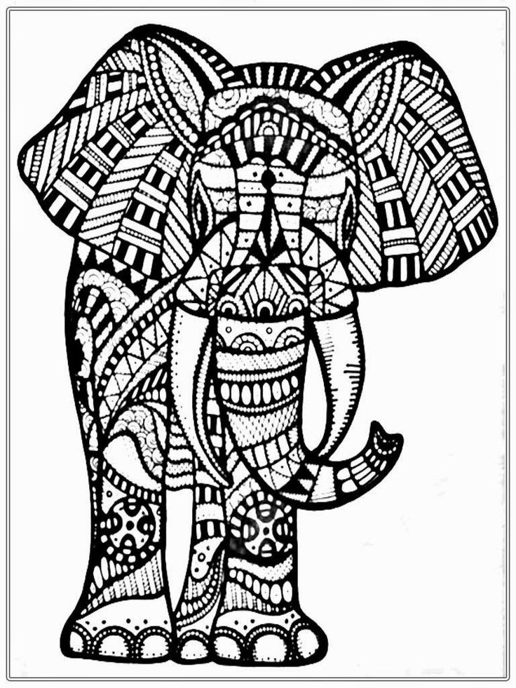 Elephant Coloring Book For Adults
 Big Elephant Coloring Pages For Adult