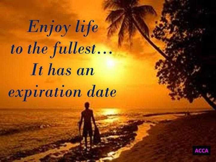 Enjoy Your Life Quotes
 Famous Quotes About Enjoying Life QuotesGram