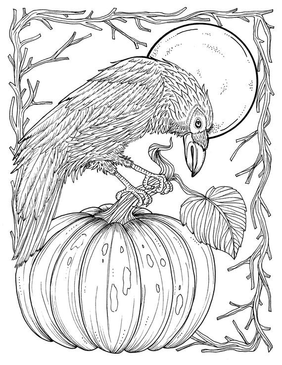 Fall Coloring Pages Adults
 Fall Crow Digital Coloring page Thanksgiving harvest Adult