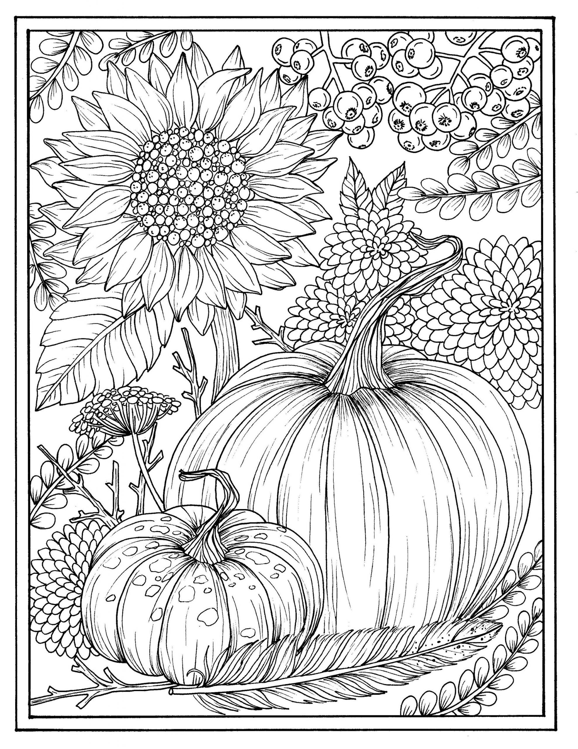 Fall Coloring Pages Adults
 Fall flowers and pumpkins digital coloring page
