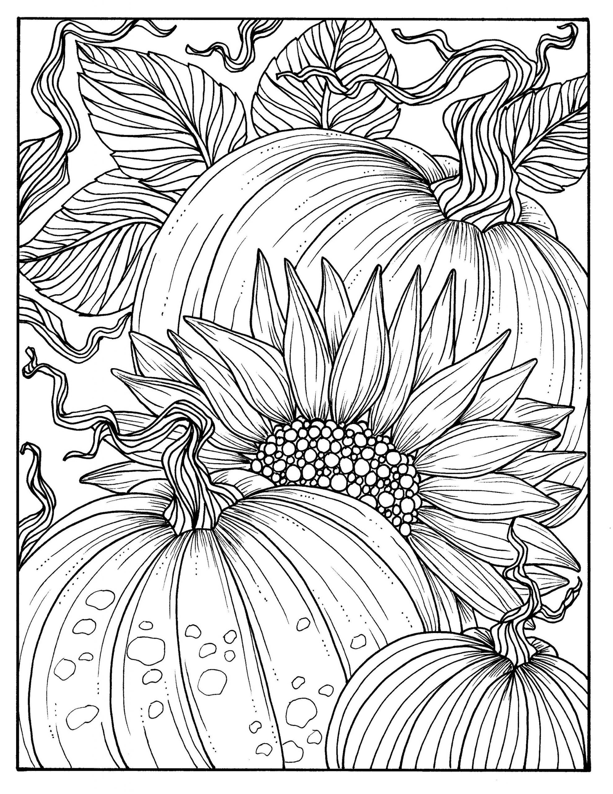 Fall Coloring Pages Adults
 5 Pages Fabulous Fall Digital Downloads to Color Punpkins