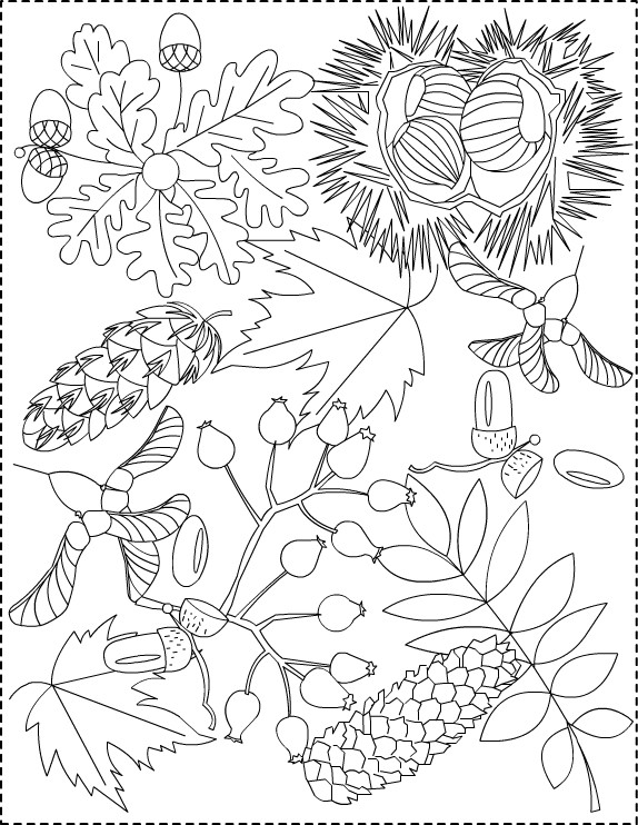 Fall Coloring Pages Adults
 Nicole s Free Coloring Pages Autumn coloring pages