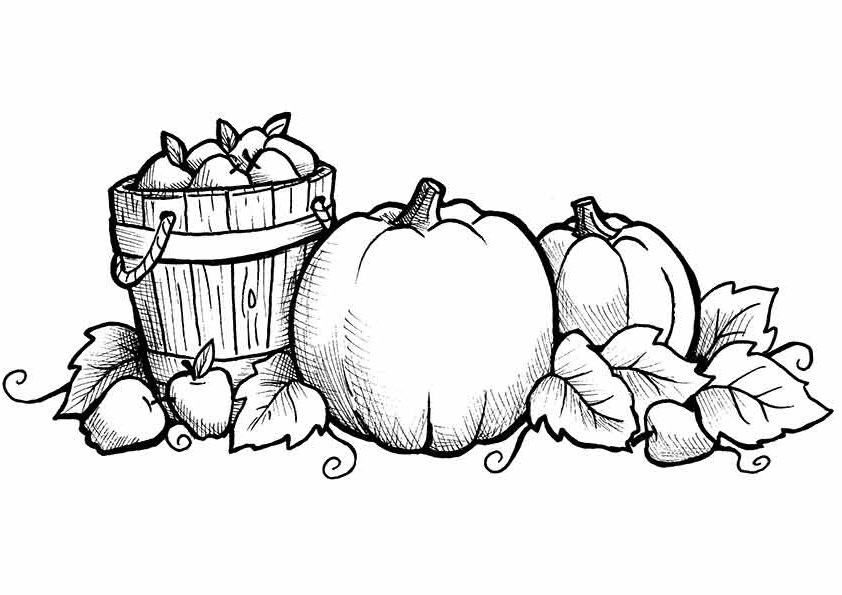 Fall Coloring Pages Free Printable
 Free Printable Fall Coloring Pages for Kids Best