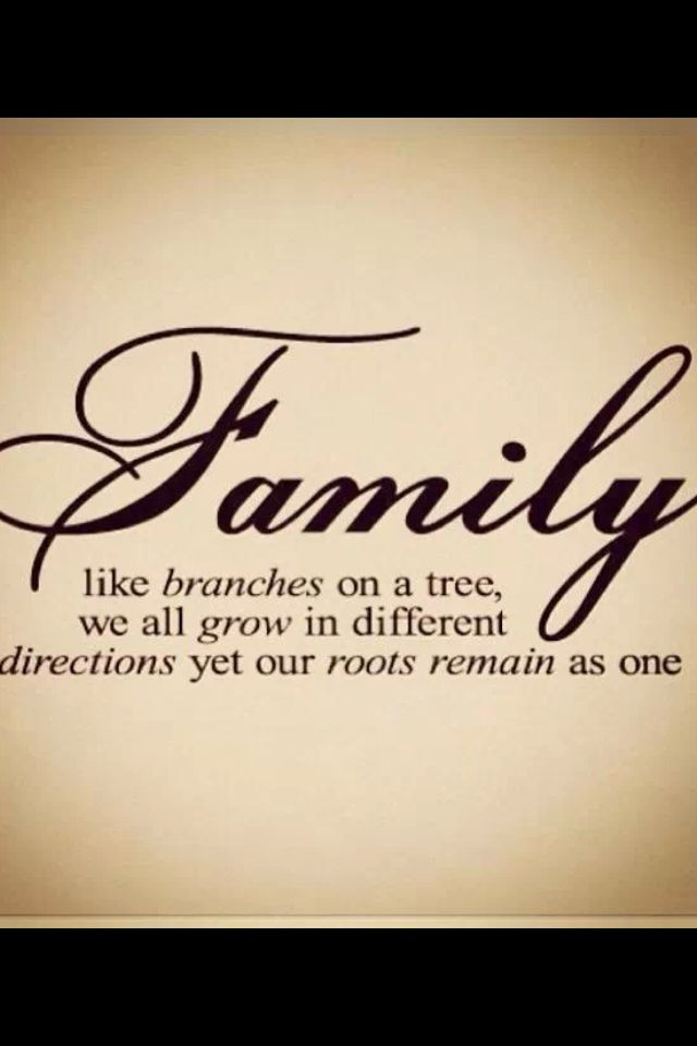 Family Quotes Pinterest
 Pinterest Quotes About Family QuotesGram