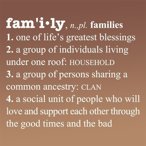 Family Sticks Together Quotes
 Sassy Sites Definition of Family Vinyl