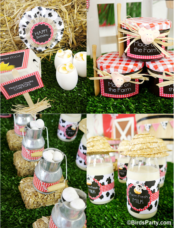 Farm Birthday Party Decorations
 My Kids Joint Barnyard Farm Birthday Party Party Ideas