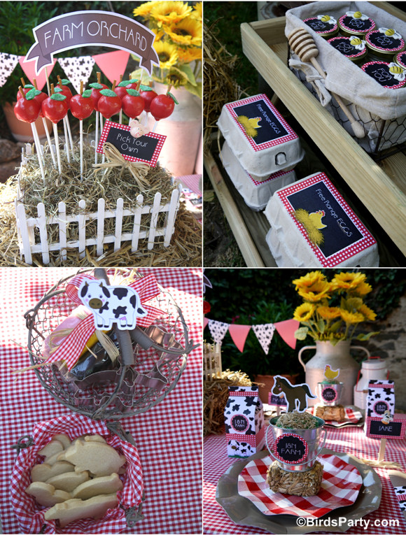Farm Birthday Party Decorations
 My Kids Joint Barnyard Farm Birthday Party Party Ideas