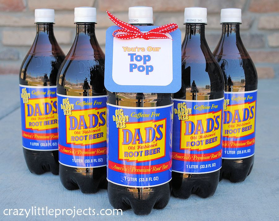 Father'S Day Gift Ideas Beer
 Creative & Fun Father s Day Gifts – Fun Squared