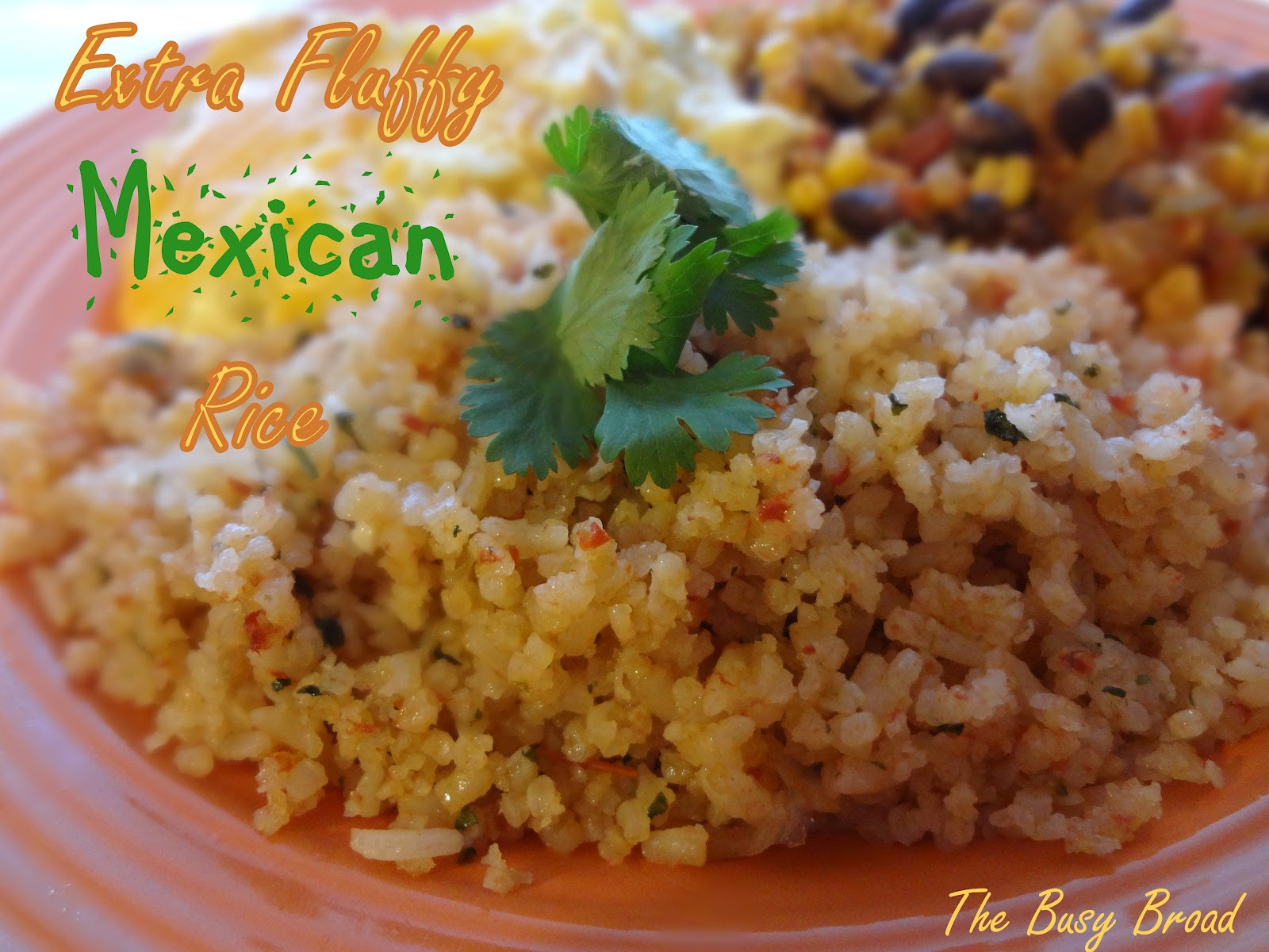 Fluffy Mexican Rice
 The Busy Broad Super Fluffy Mexican Rice
