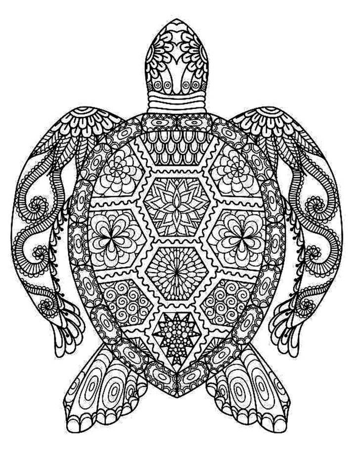 Free Mandala Coloring Pages For Adults
 Turtle Mandala