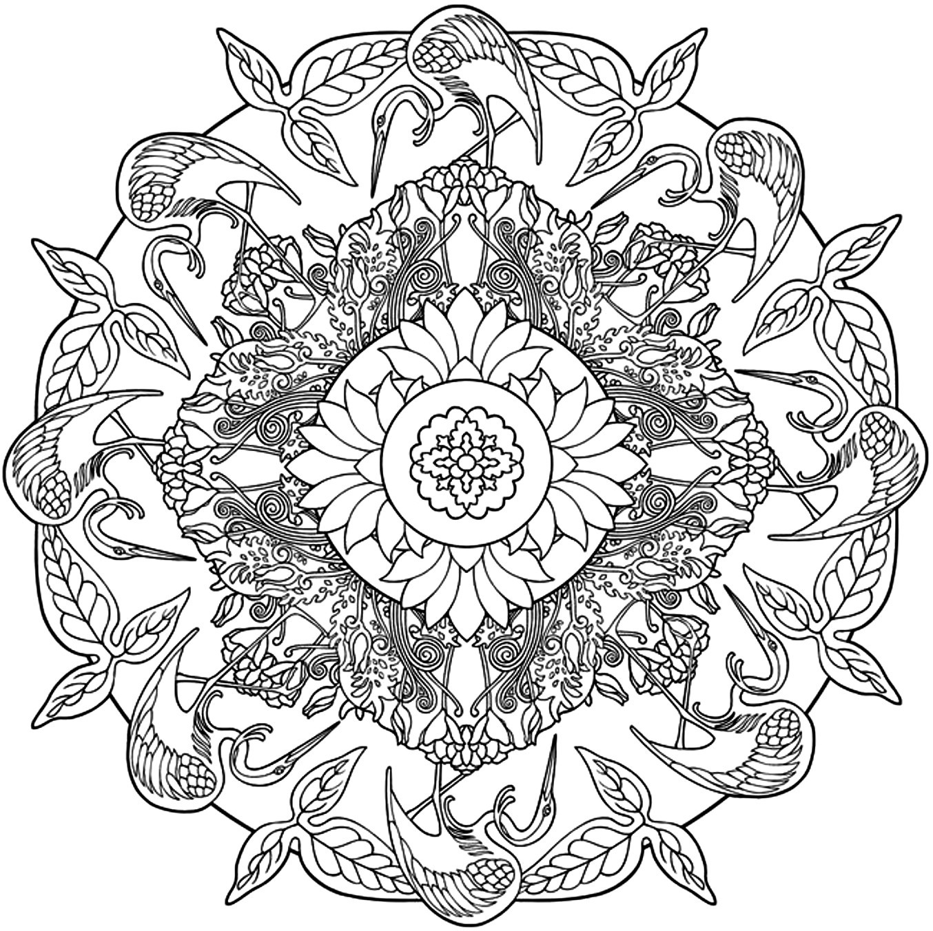 Free Mandala Coloring Pages For Adults
 Free Printable Adult Coloring Pages