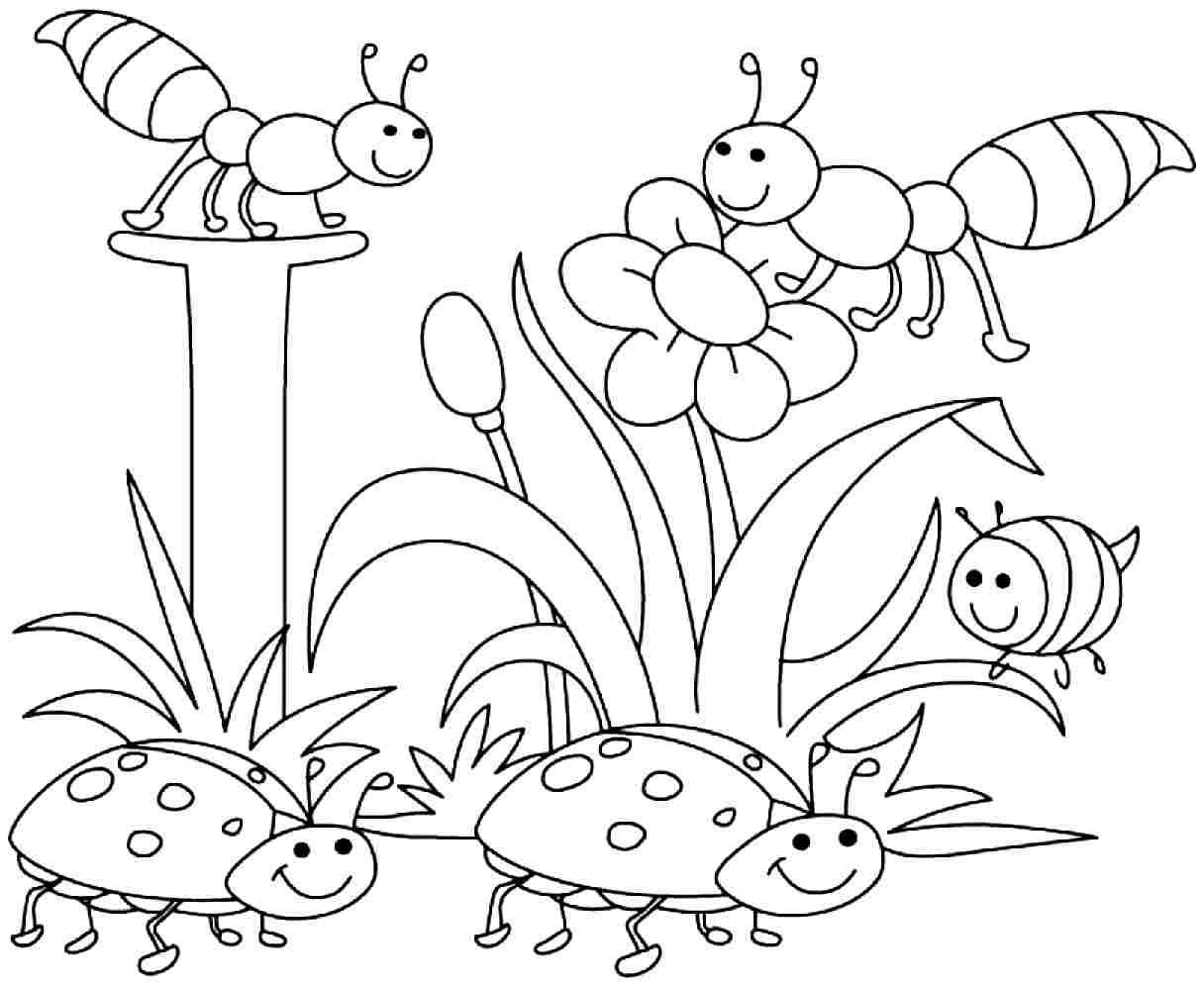 Free Spring Coloring Pages For Kids
 5 Best of Spring Season Coloring Pages Printable