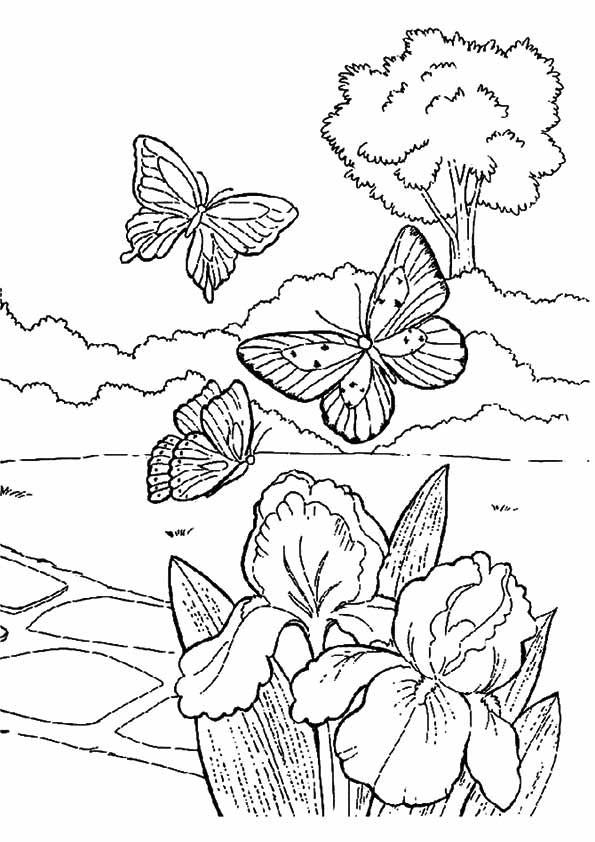 Free Spring Coloring Pages For Kids
 Spring Coloring Pages Best Coloring Pages For Kids