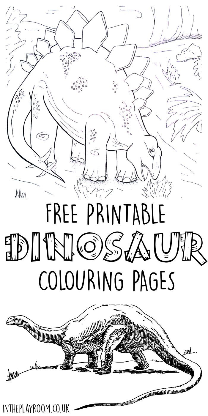 Freee Printable Coloring Pages
 Dinosaur Colouring Pages In The Playroom