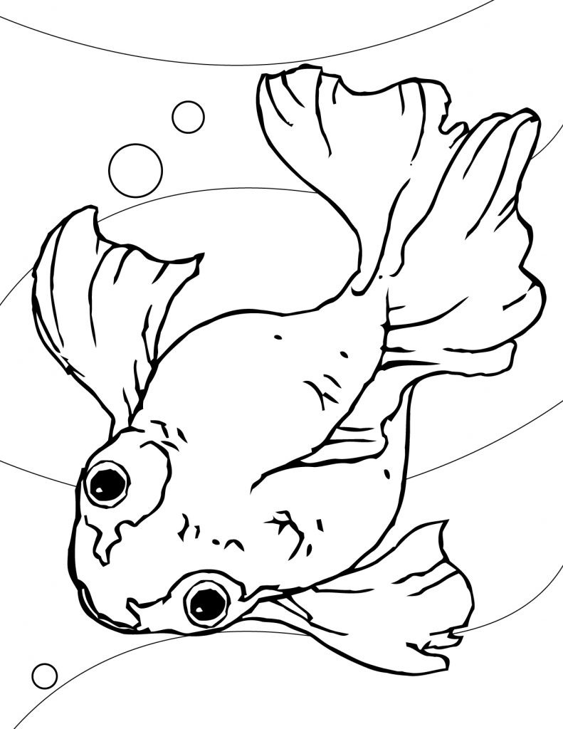 Freee Printable Coloring Pages
 Free Printable Goldfish Coloring Pages For Kids