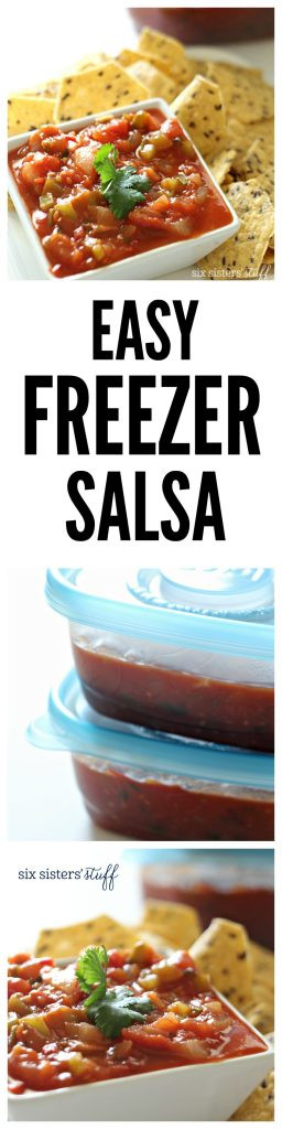 Freezer Salsa Recipe
 Easy Freezer Salsa