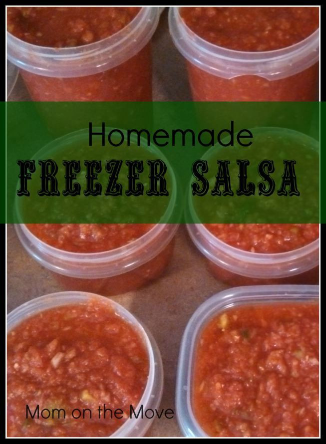 Freezer Salsa Recipe
 Homemade Freezer Salsa Recipe