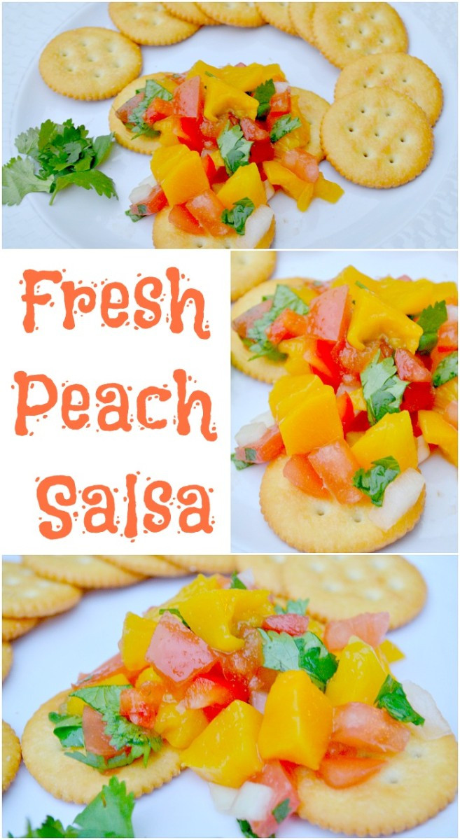 Fresh Peach Salsa Recipes
 Fresh Peach Salsa Recipe – Miss Frugal Mommy