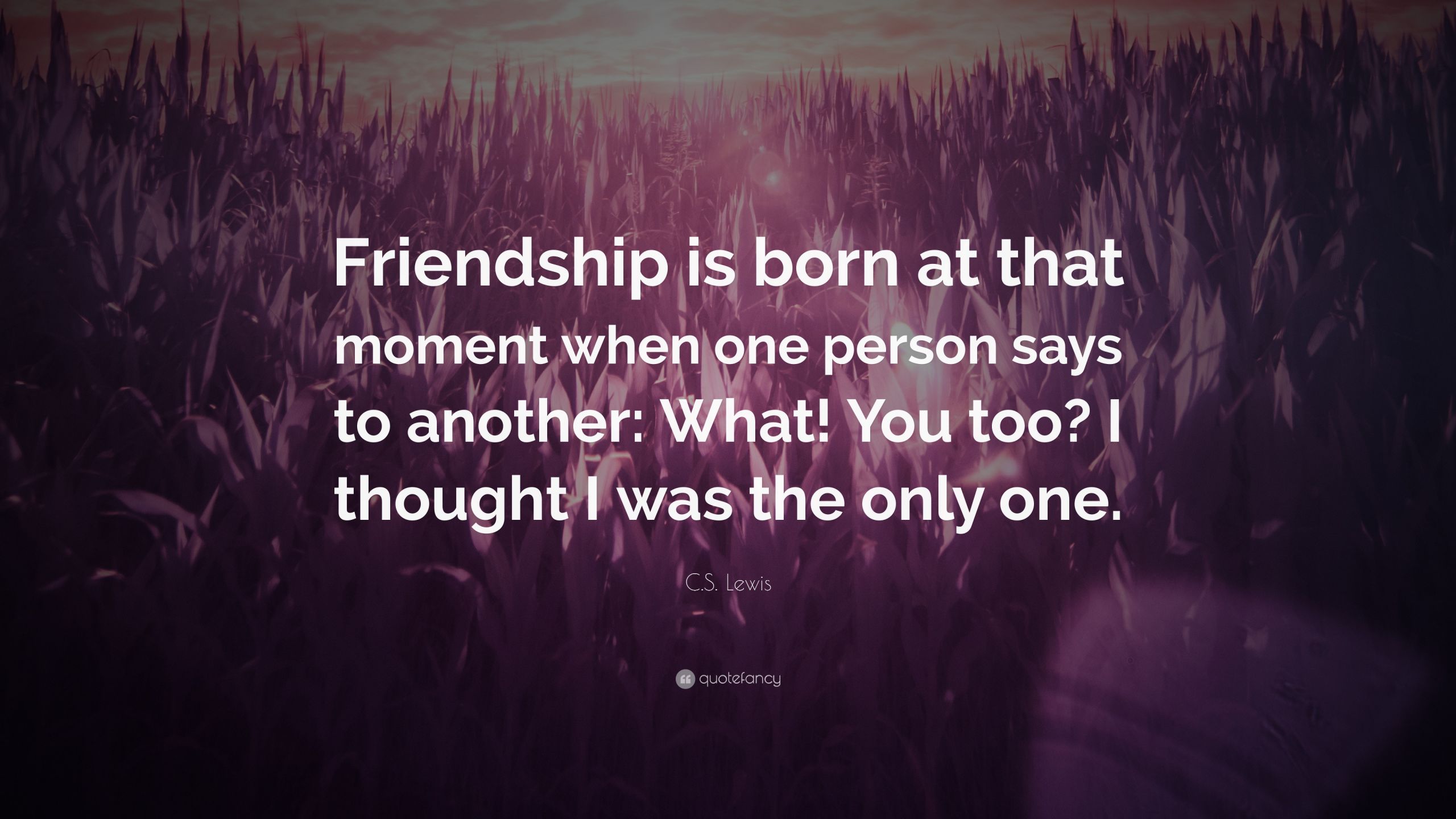 Friendship Pic Quotes
 Friendship Quotes 21 wallpapers Quotefancy