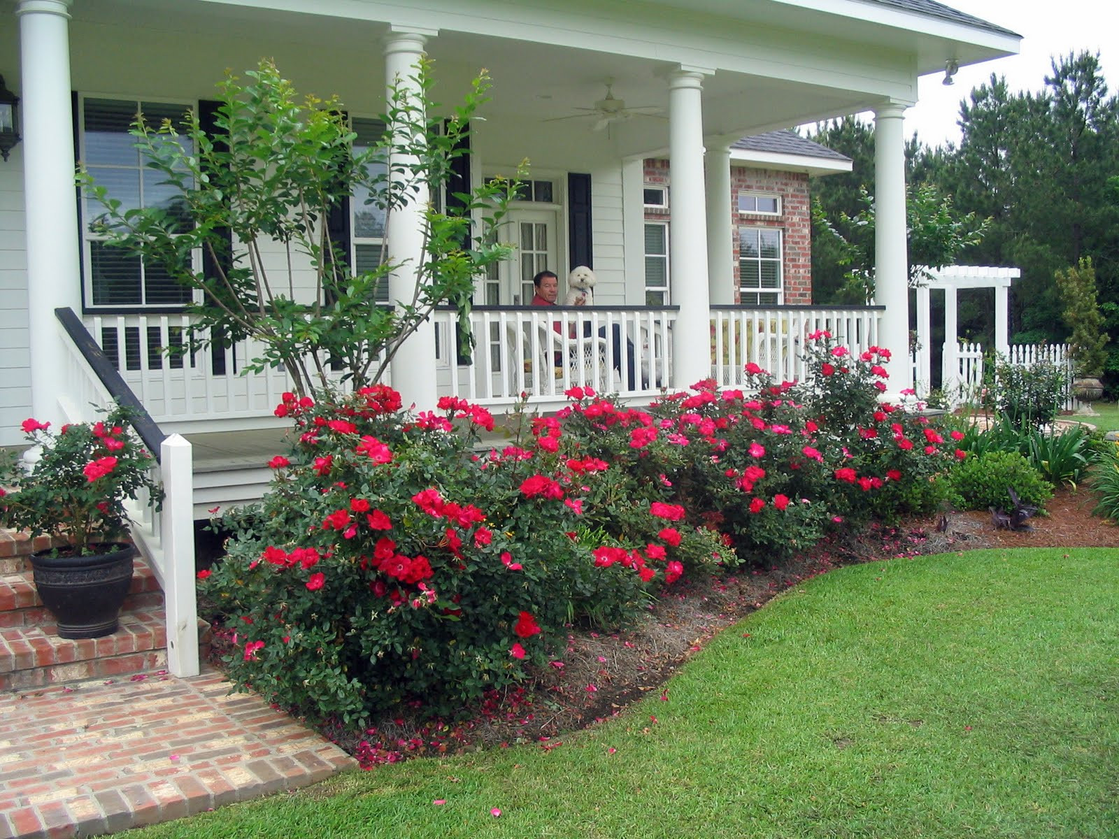 Front Porch Landscape Designs
 A Southern Belle Dishes on Decor My Life on the Front Porch