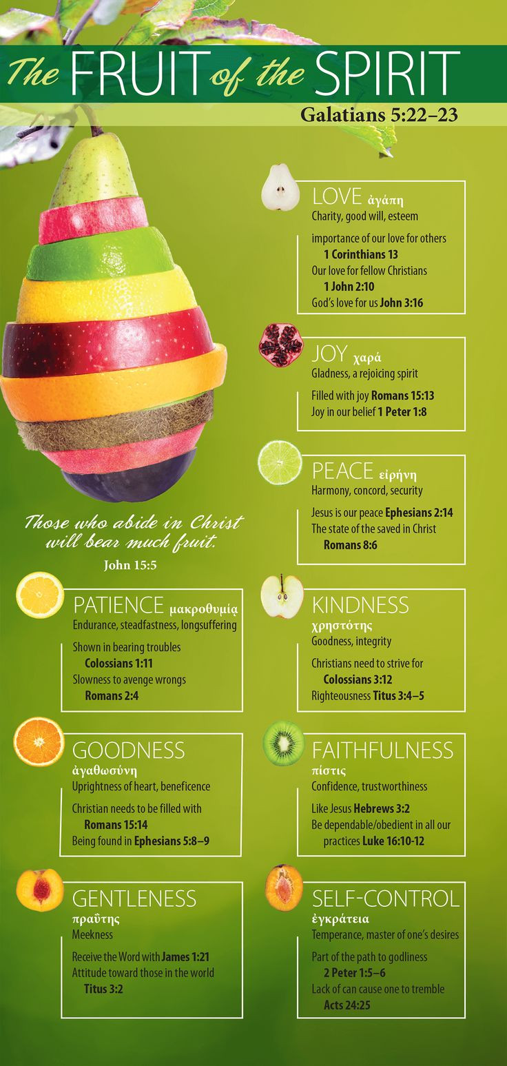 Fruit Of The Spirit Craft Ideas For Adults
 309 best images about Fruit of the Spirit Crafts on Pinterest