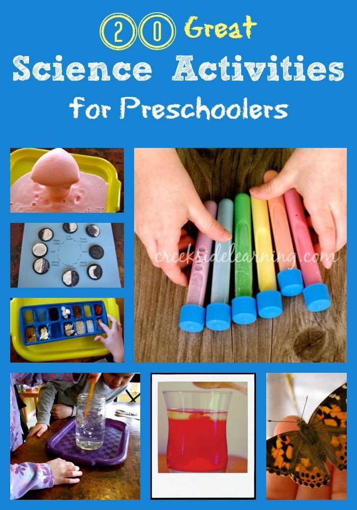 Fun Activities For Preschoolers
 20 Great Science Activities for Preschoolers