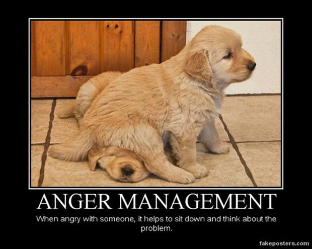Funny Angry Quotes
 Funny Quotes About Being Angry QuotesGram