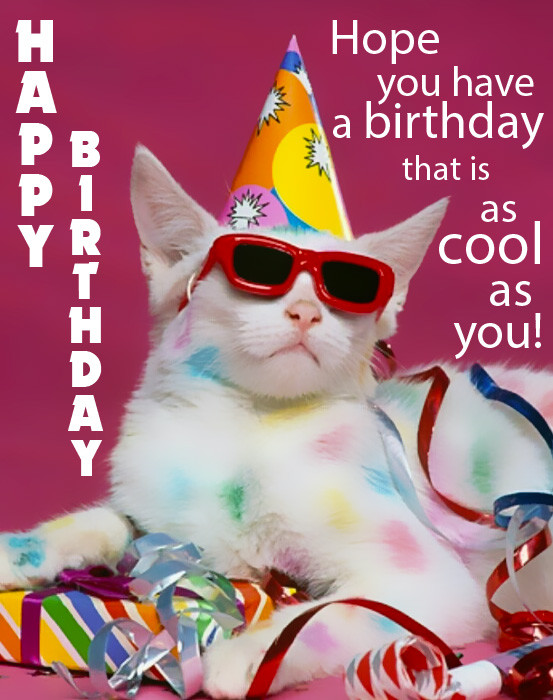Funny Animated Birthday Cards Free
 Happy Birthday Funny Birthday eCards and Gifs
