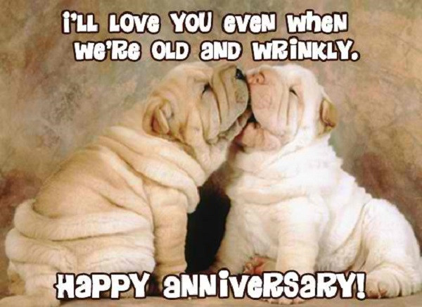 Funny Anniversary Quotes
 20 Wedding Anniversary Quotes For Your Husband