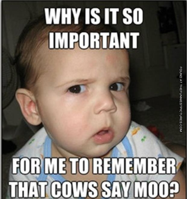 Funny Baby Quotes And Sayings
 Funny Baby Quotes And Cute Picture QuotesGram