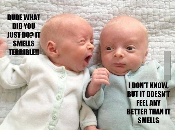 Funny Baby Quotes And Sayings
 Very Funny Baby Quotes QuotesGram