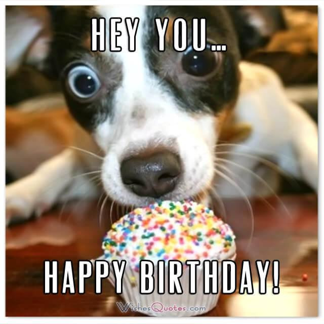 Funny Birthday Pictures And Quotes
 Funny Birthday Wishes for Friends and Ideas for Maximum
