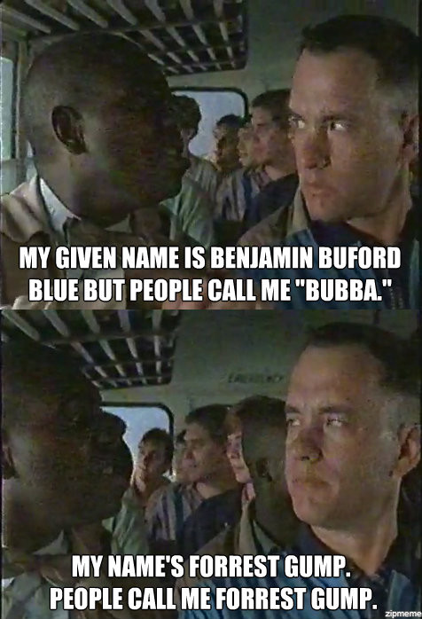Funny Forrest Gump Quotes
 Bubba Forrest Gump Quotes Stupid QuotesGram