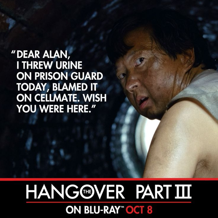 Funny Hangover Quotes
 The Hangover Leslie Chow Quotes QuotesGram