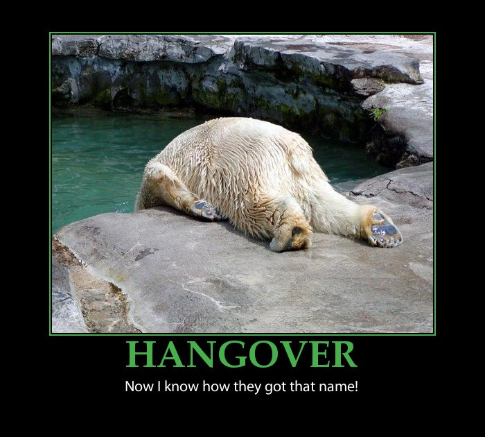 Funny Hangover Quotes
 Hangover Funny Quotes And Sayings QuotesGram