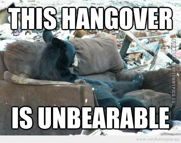 Funny Hangover Quotes
 Hangover Jokes Quotes QuotesGram