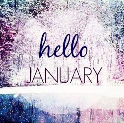 Funny January Quotes
 17 Wel e January Quotes & to say Hello
