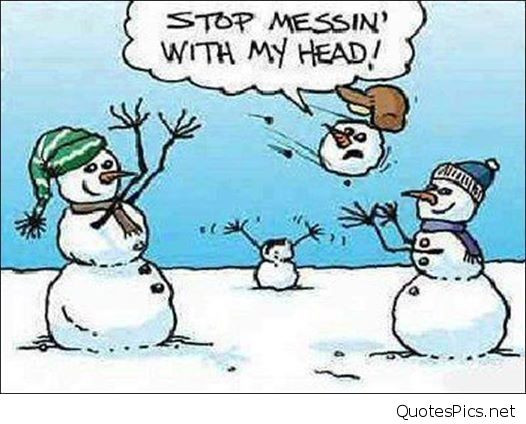 Funny January Quotes
 Funny December January 2017 Winter snowman cards & images