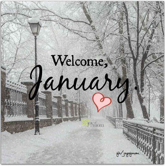 Funny January Quotes
 January Fun Winter Quotes QuotesGram