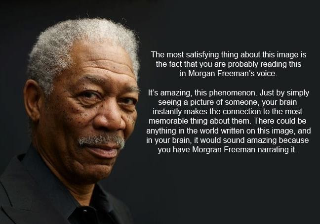 Funny Morgan Freeman Quotes
 Morgan Freeman Quotes Shawshank QuotesGram