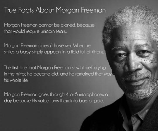 Funny Morgan Freeman Quotes
 True facts about Morgan Freeman…