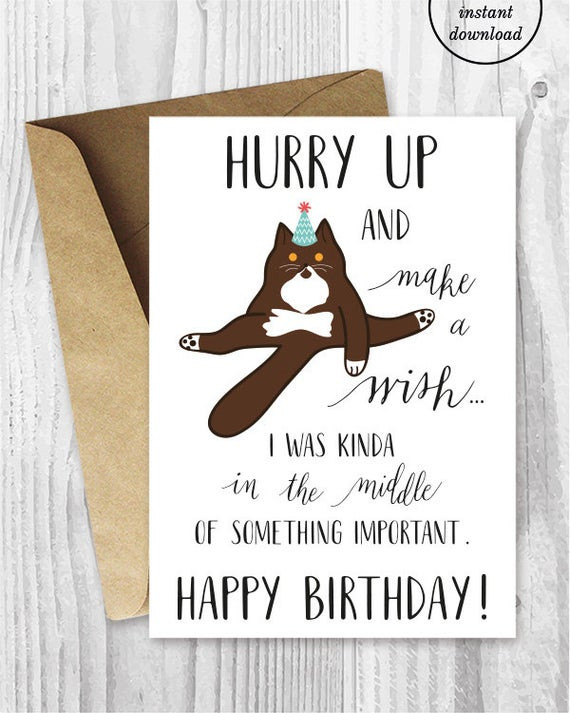 Funny Printable Birthday Card
 Funny Birthday Printable Cards Funny British Shorthair Cat
