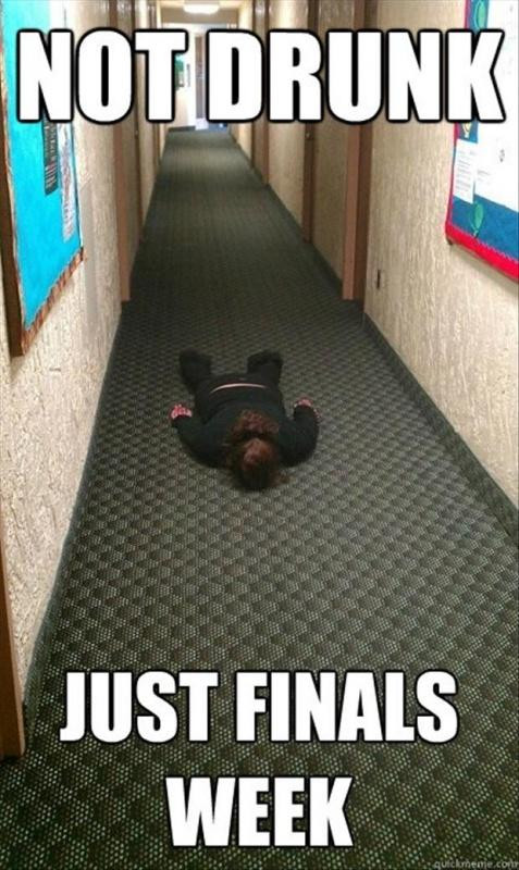 Funny Quotes About Finals
 Funny Exam Quotes Funny Exam Sayings