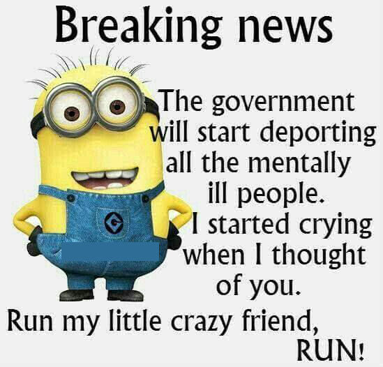 Funny Quotes Minions
 Minion Breaking News Funny Quote s and