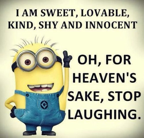 Funny Quotes Minions
 40 Funny Minions Quotes and sayings – Funny Minions Memes