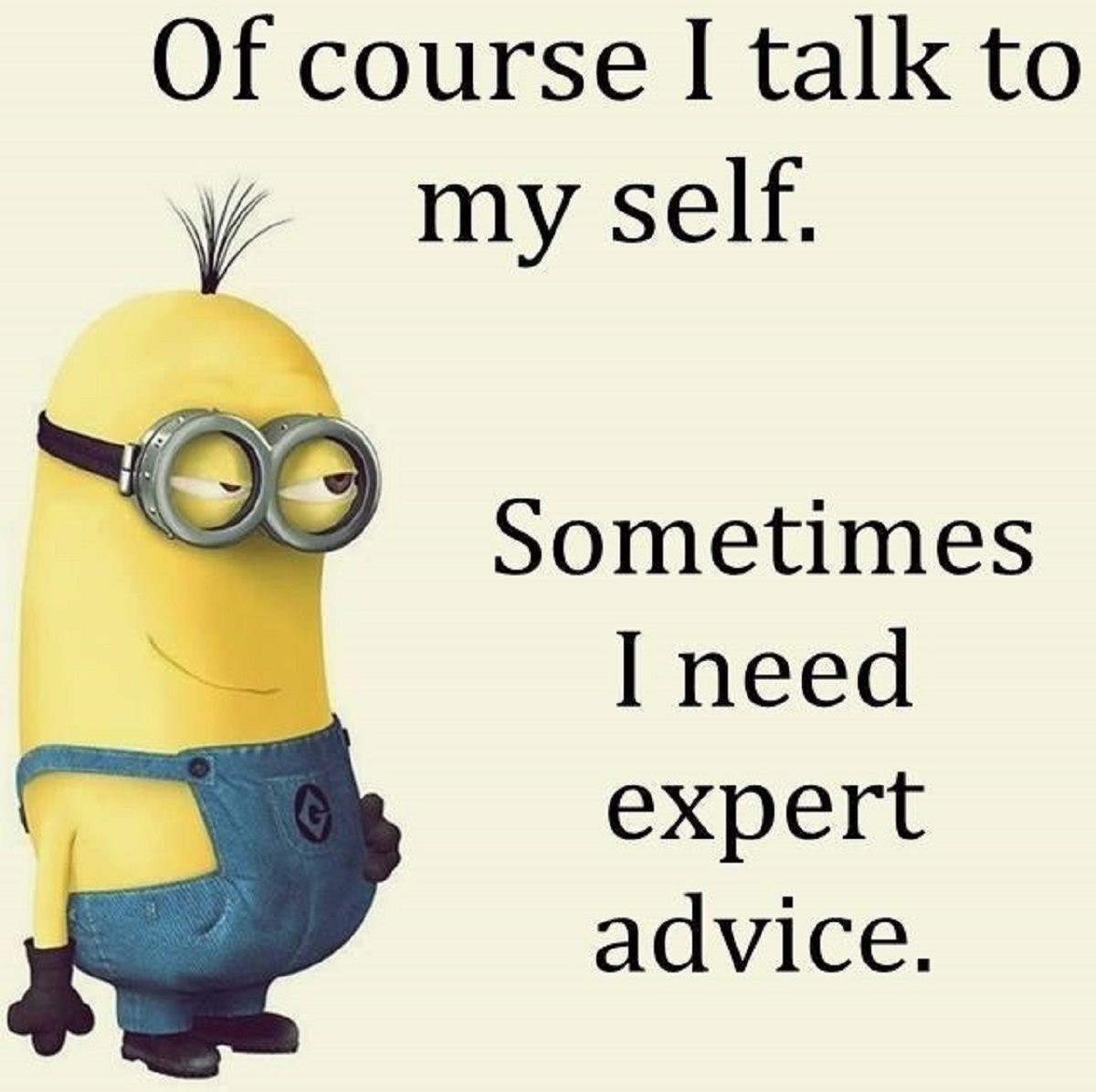 Funny Quotes Minions
 Funniest Minion Quotes The Week