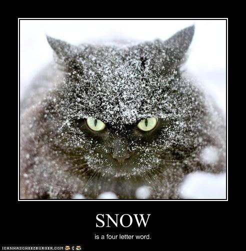 Funny Snow Quotes
 Snow Day Funny Quotes QuotesGram
