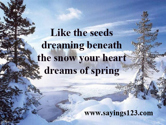Funny Snow Quotes
 Spring Snow Funny Quotes QuotesGram